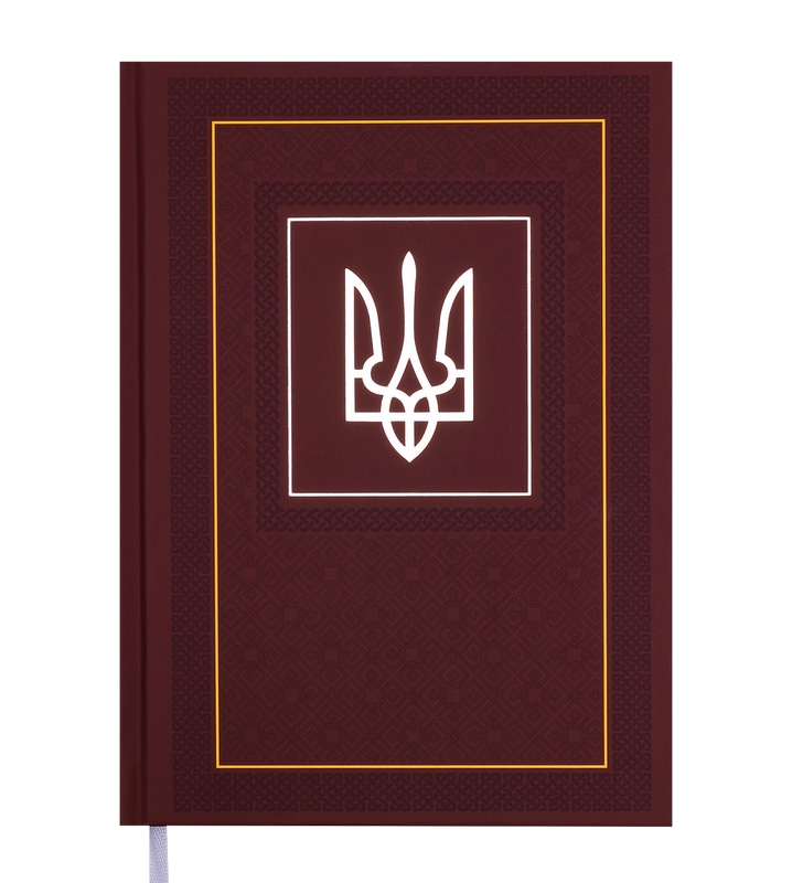 Ежедневник датированный 2022 Buromax NATION A5 коричневый 336 стр (BM.2199-25)